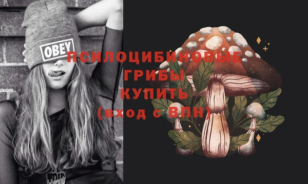 прущие грибы Инсар