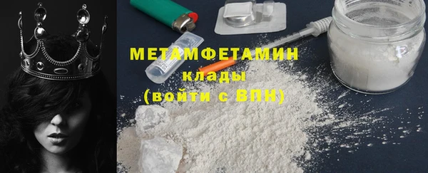 прущие грибы Инсар