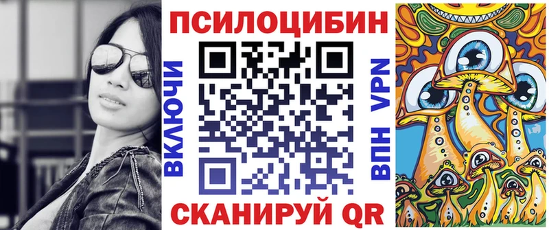 Псилоцибиновые грибы Cubensis  магазин продажи наркотиков  Королёв 