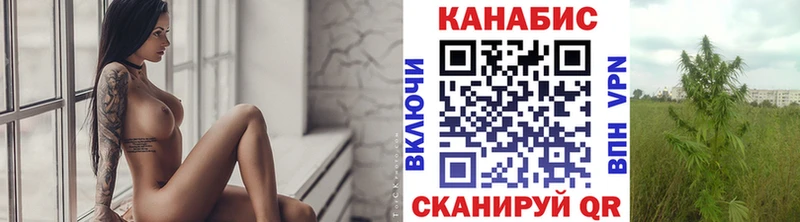 Бошки Шишки конопля  продажа наркотиков  Королёв 